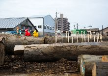 牛島光太郎の作品『組み合せの方法』。日用品を組み合わせたモノと壁に油性ペンで言葉(文字)を書いた作品。