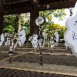 牛島光太郎の作品『届かなかった光の範囲』